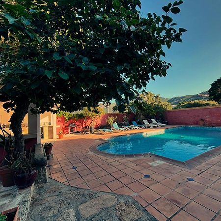 Residence Antonia Appartements Avec Piscine Commune - Centre Ville Calvi Calvi  Exteriör bild