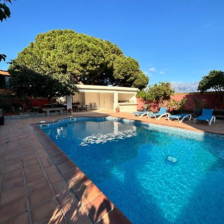 Residence Antonia Appartements Avec Piscine Commune - Centre Ville Calvi Calvi  Exteriör bild
