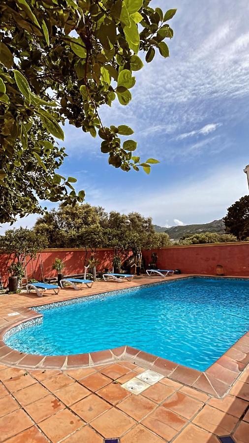 Residence Antonia Appartements Avec Piscine Commune - Centre Ville Calvi Calvi  Exteriör bild