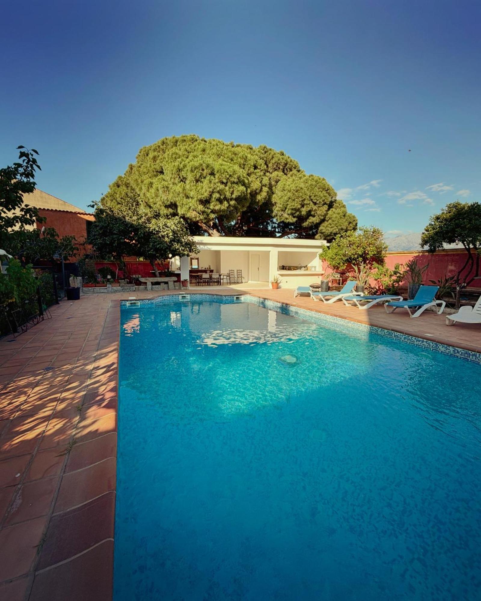 Residence Antonia Appartements Avec Piscine Commune - Centre Ville Calvi Calvi  Exteriör bild