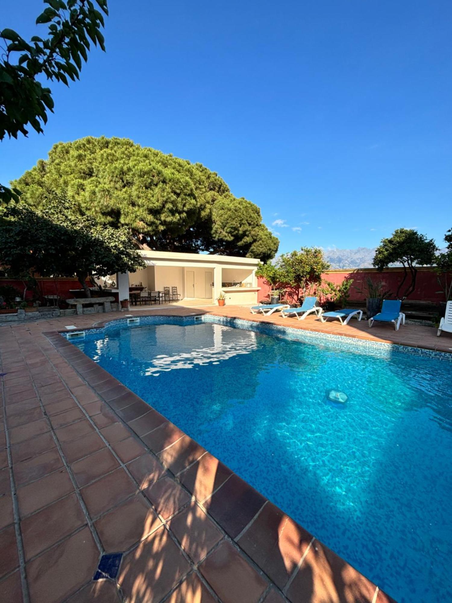 Residence Antonia Appartements Avec Piscine Commune - Centre Ville Calvi Calvi  Exteriör bild