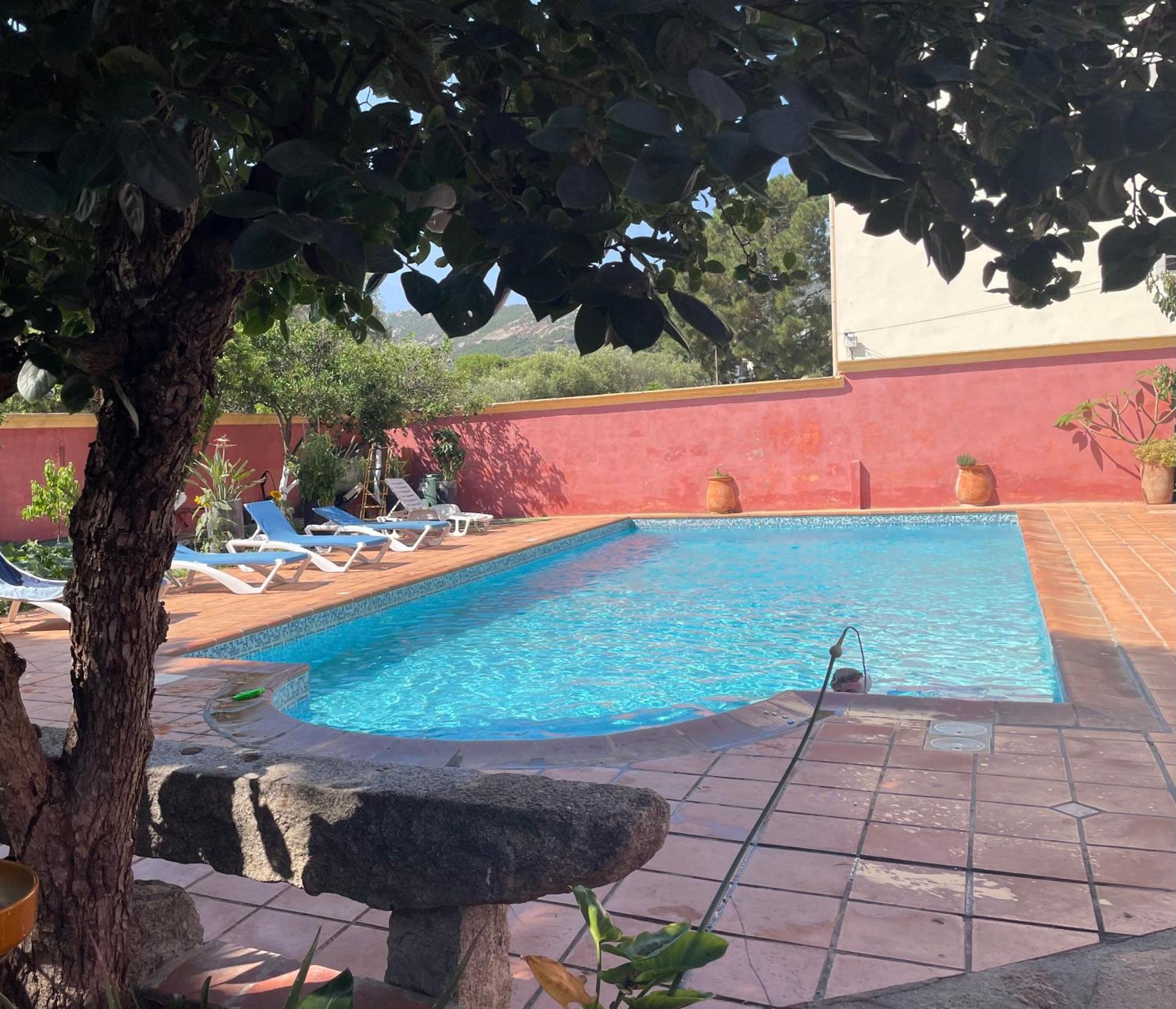 Residence Antonia Appartements Avec Piscine Commune - Centre Ville Calvi Calvi  Exteriör bild
