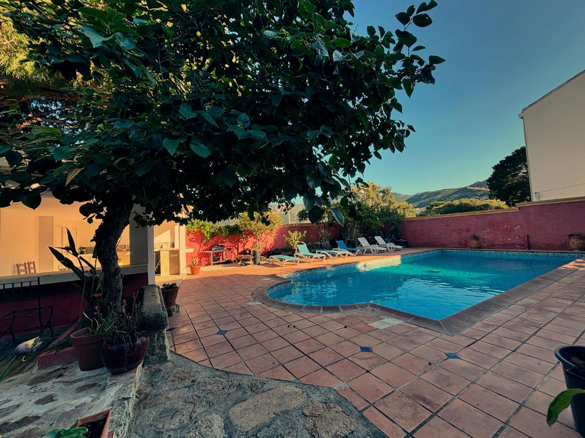 Residence Antonia Appartements Avec Piscine Commune - Centre Ville Calvi Calvi  Exteriör bild