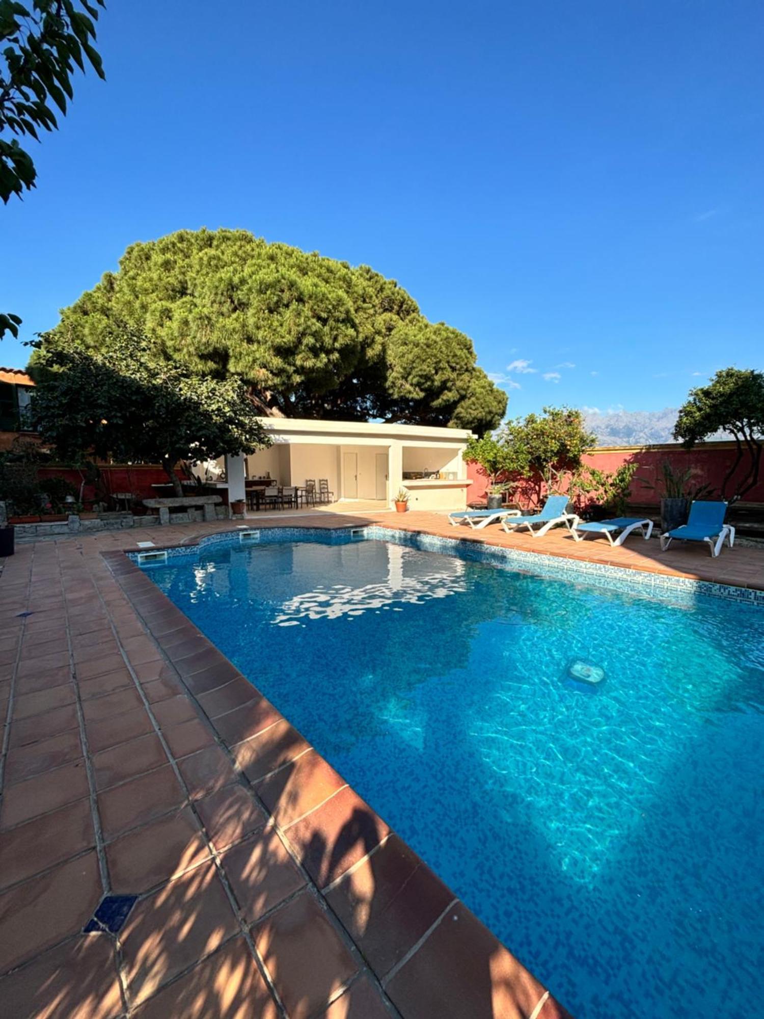 Residence Antonia Appartements Avec Piscine Commune - Centre Ville Calvi Calvi  Exteriör bild